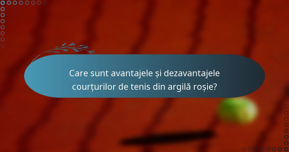 Care sunt avantajele și dezavantajele courțurilor de tenis din argilă roșie?