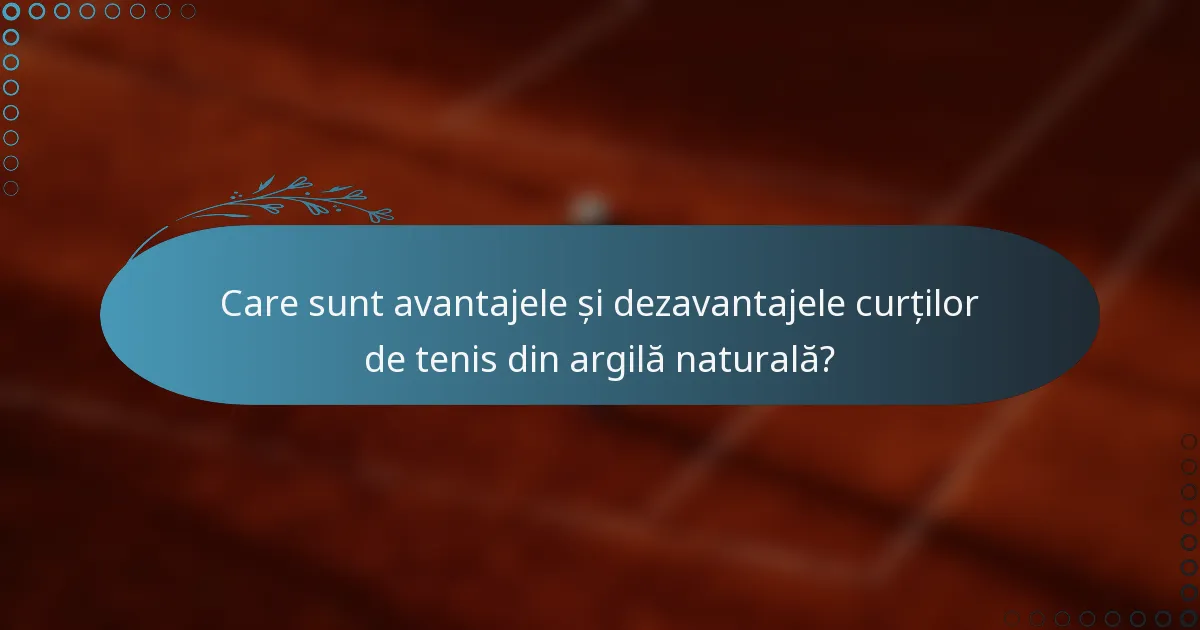 Care sunt avantajele și dezavantajele curților de tenis din argilă naturală?