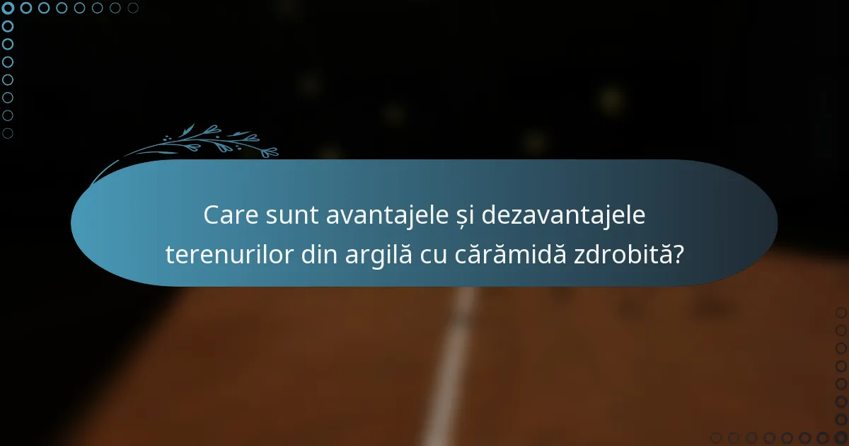 Care sunt avantajele și dezavantajele terenurilor din argilă cu cărămidă zdrobită?