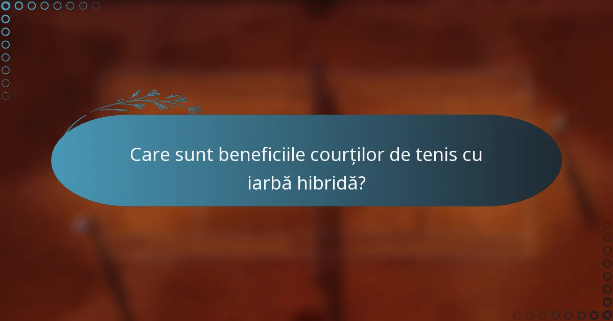 Care sunt beneficiile courților de tenis cu iarbă hibridă?
