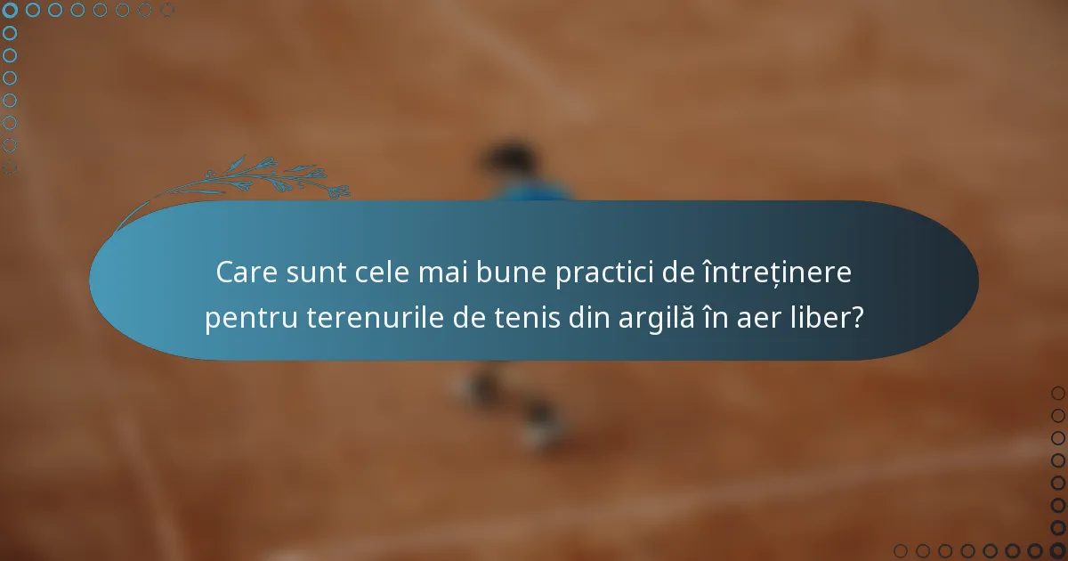 Care sunt cele mai bune practici de întreținere pentru terenurile de tenis din argilă în aer liber?