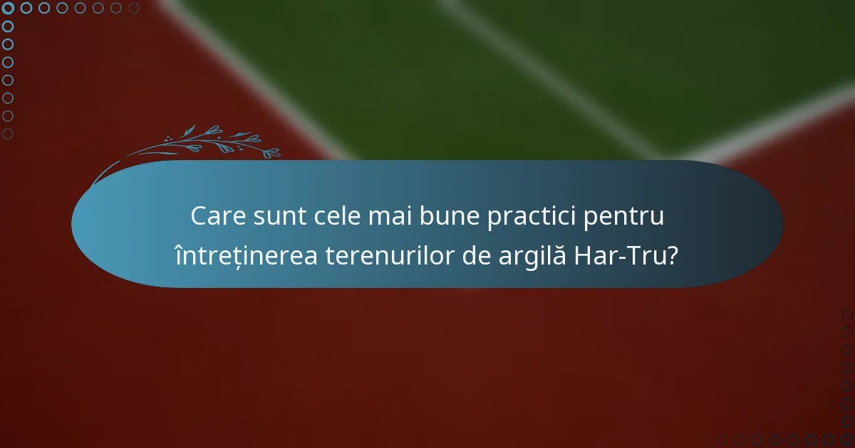 Care sunt cele mai bune practici pentru întreținerea terenurilor de argilă Har-Tru?