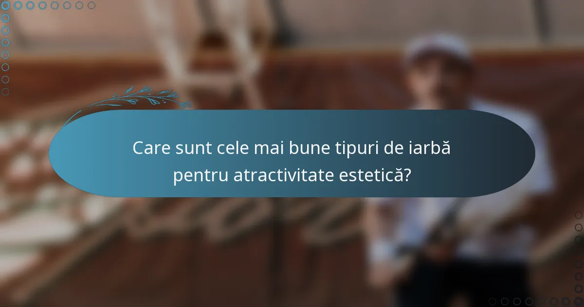 Care sunt cele mai bune tipuri de iarbă pentru atractivitate estetică?