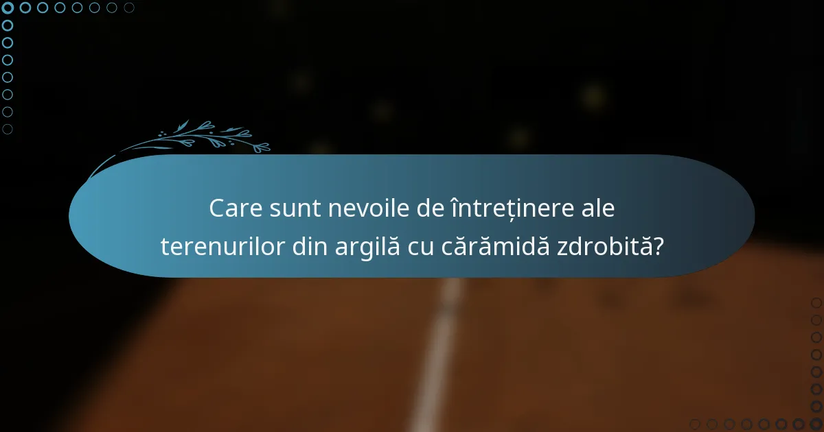 Care sunt nevoile de întreținere ale terenurilor din argilă cu cărămidă zdrobită?