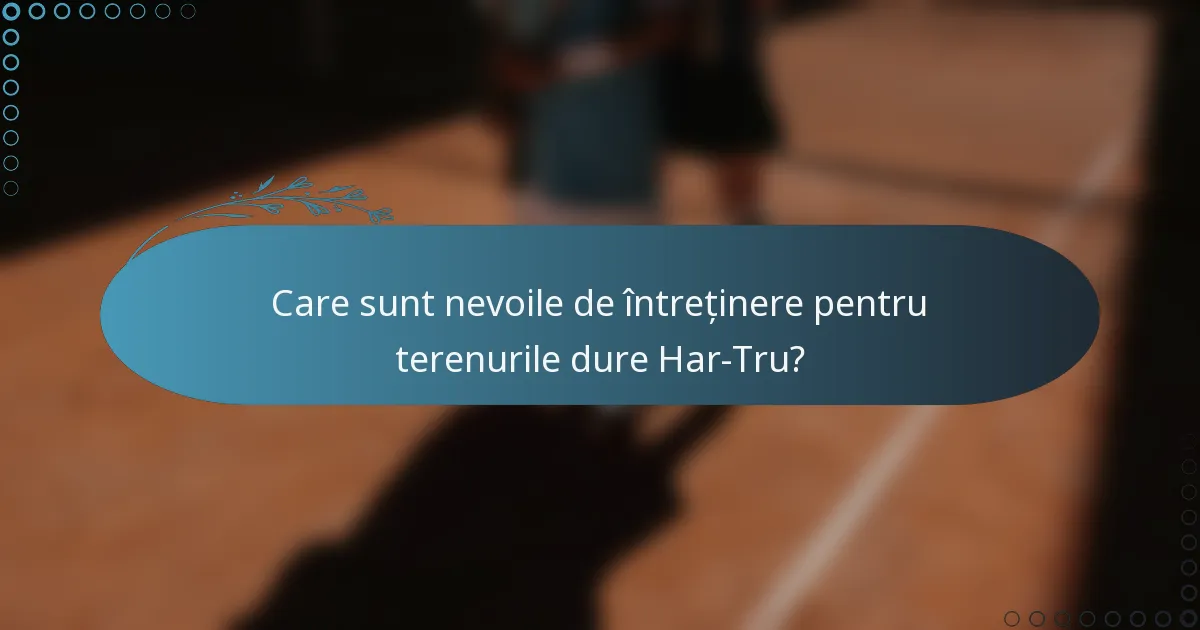 Care sunt nevoile de întreținere pentru terenurile dure Har-Tru?