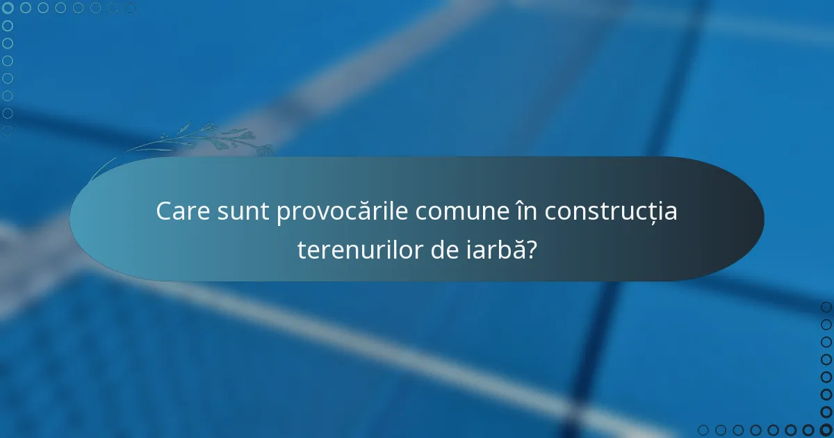 Care sunt provocările comune în construcția terenurilor de iarbă?