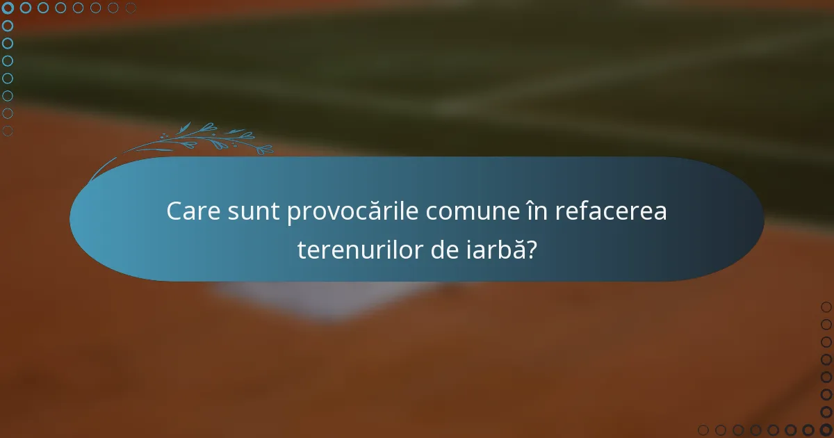 Care sunt provocările comune în refacerea terenurilor de iarbă?