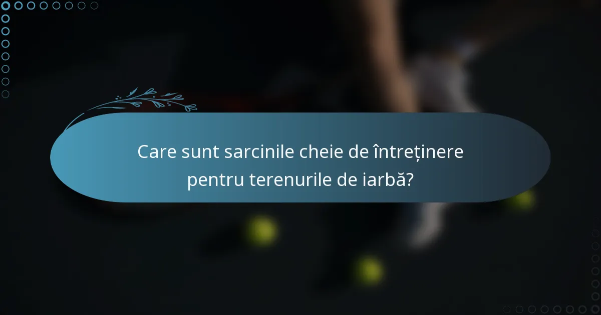 Care sunt sarcinile cheie de întreținere pentru terenurile de iarbă?
