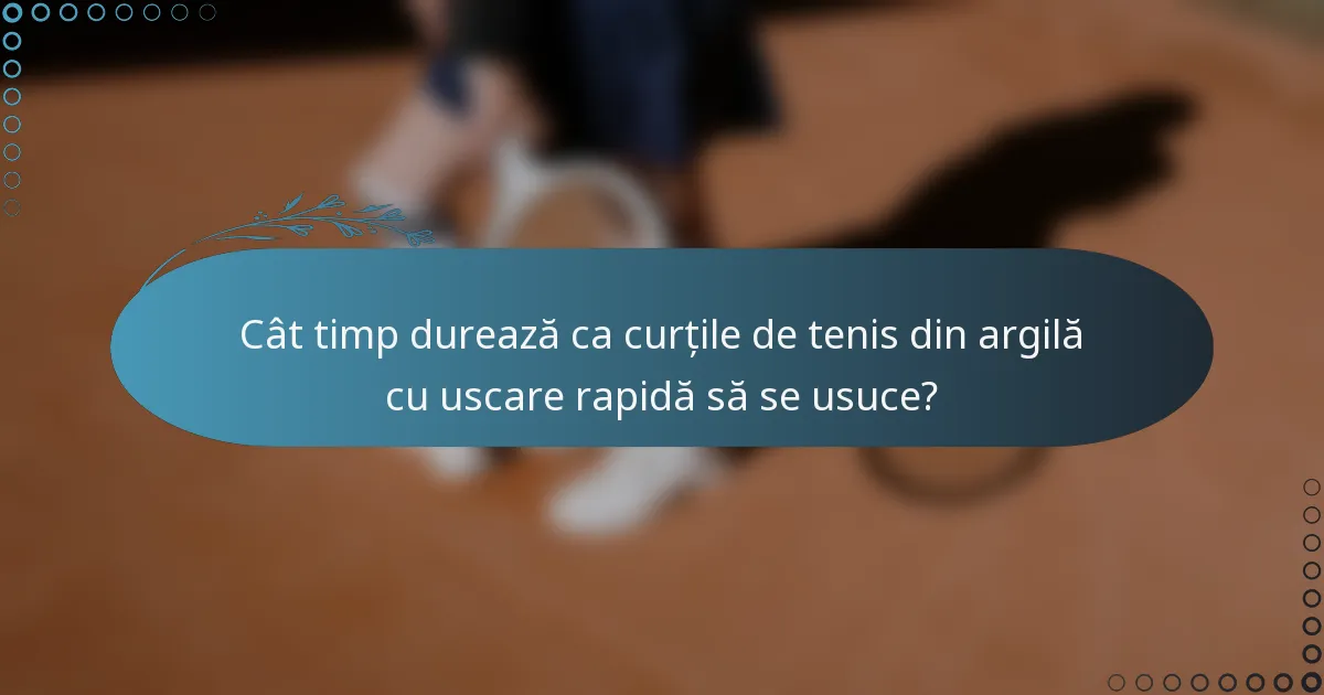 Cât timp durează ca curțile de tenis din argilă cu uscare rapidă să se usuce?