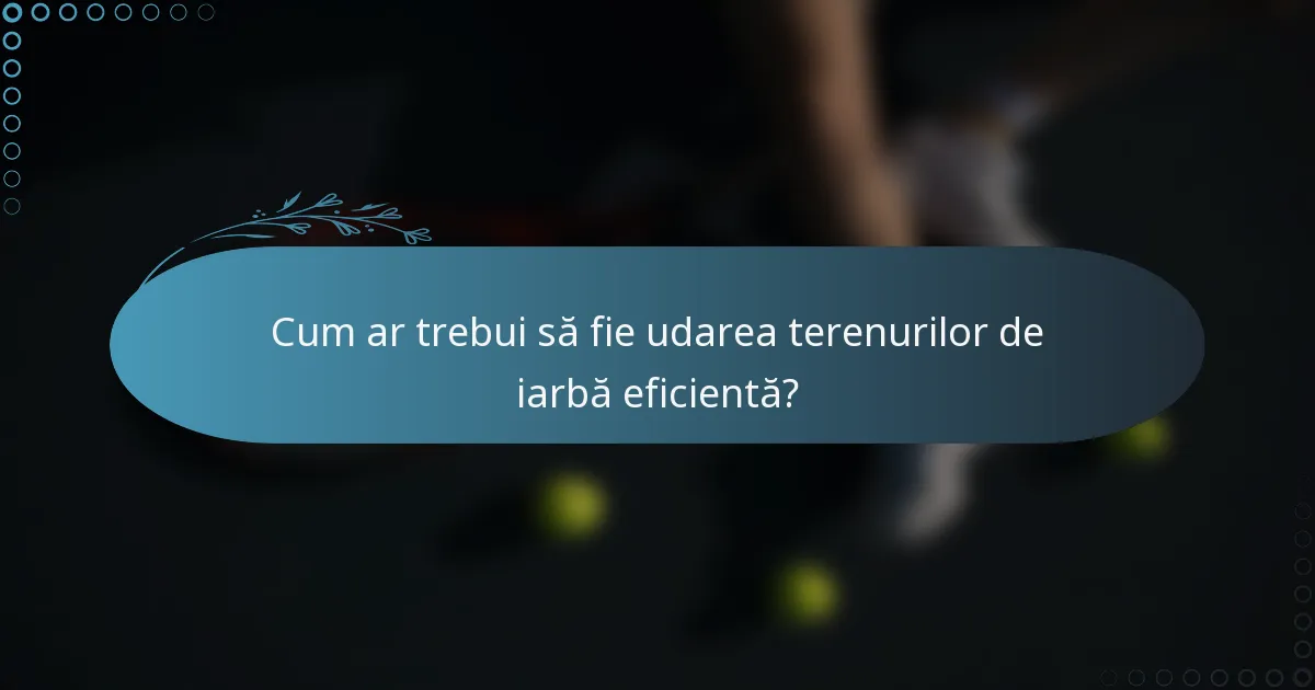 Cum ar trebui să fie udarea terenurilor de iarbă eficientă?