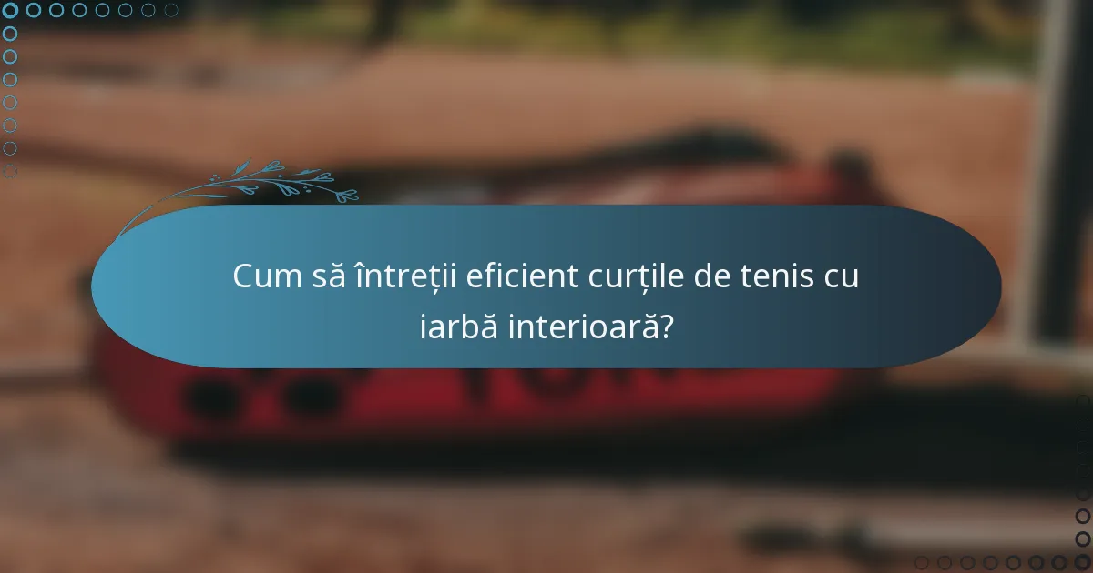 Cum să întreții eficient curțile de tenis cu iarbă interioară?