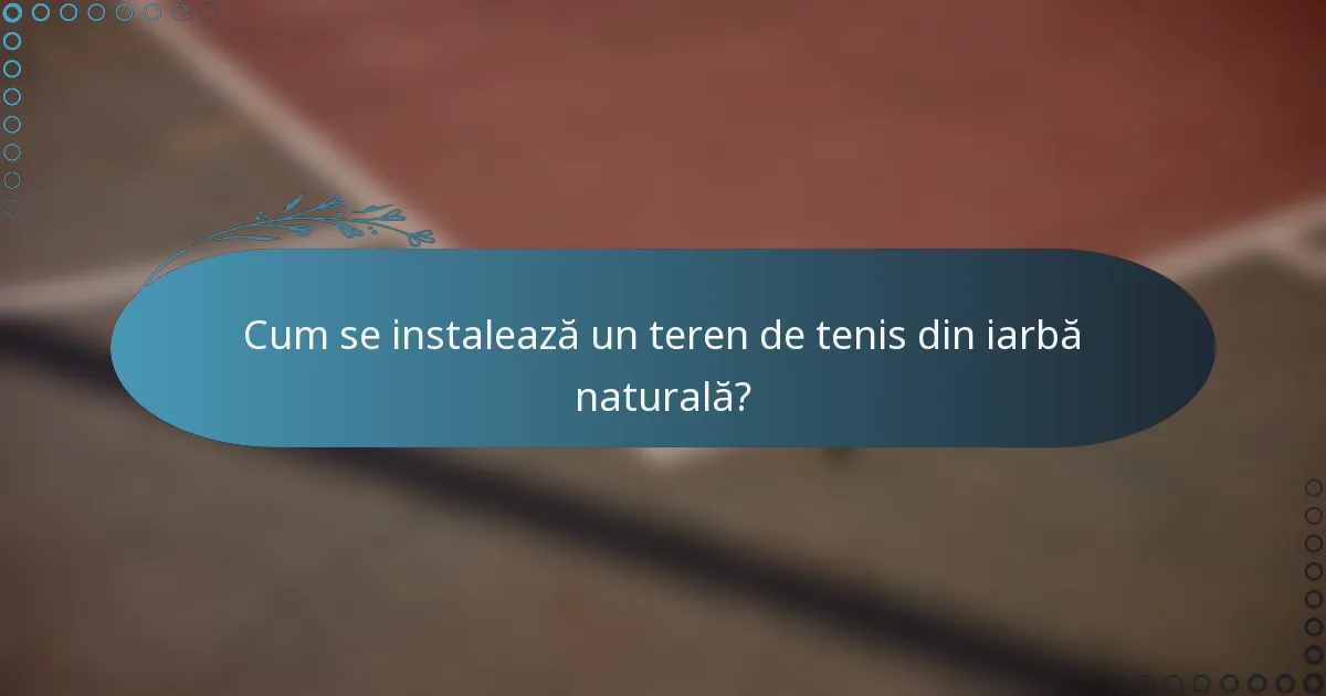 Cum se instalează un teren de tenis din iarbă naturală?