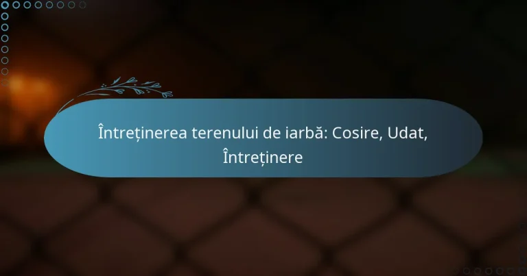 featured-image-intretinerea-terenului-de-iarba-cosire-udat-intretinere